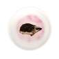 Preview: Igel Futterschale mit Igelmotiv